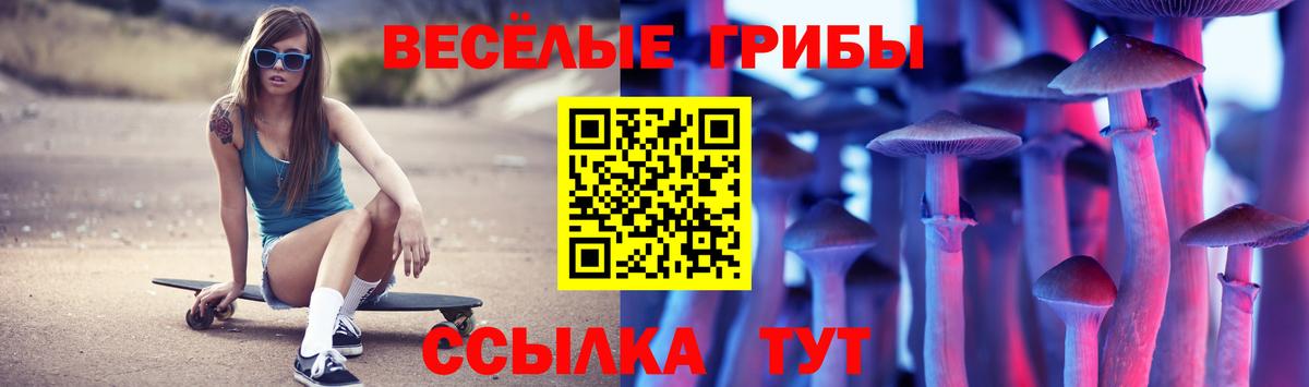 Галлюциногенные грибы мухоморы  Вход с VPN  Зеленогорск  наркота  Псилоцибиновые грибы мицелий 